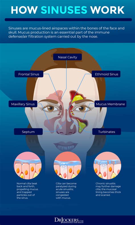 What Causes Nasal Congestion and How Do You Treat It.